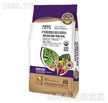 ƽ��I(y��ng)�B(y��ng)�͵VԴ�S�������Ԫ�ط���20-20-20+TE+FA-��ķ�؝�(r��n)