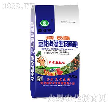 ���ɺ����������-�����r-���r