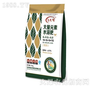 ����Ԫ��ˮ�ܷ�19-19-19+TE���ۄ���-�R���