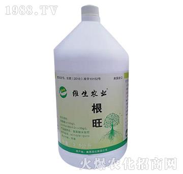 ����-�S���r�I(y��)