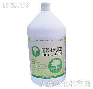 �����-�S���r�I(y��)