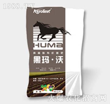 ��ֲ���ЙC(j��)����-�ڬ�����-�S(li��n)�r(n��ng)�I(y��)