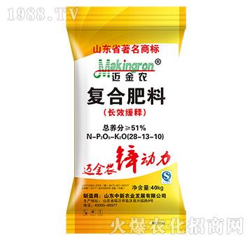 �ͺϷ����LЧ���28-