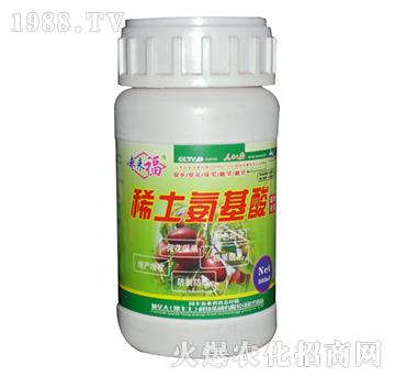 ϡ�����������-������-���S��