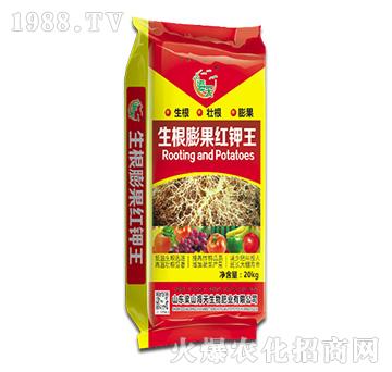 ��������t���-������