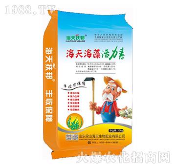 ���캣�������-��������