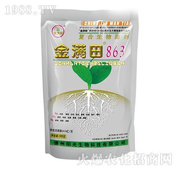 �ͺ��������-��M��863-ꖹ�����