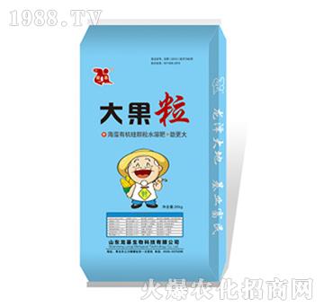 大果粒海藻有機(jī)硅顆粒水溶肥-龍基生物