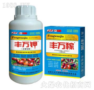 �󗗌��àI�B(y��ng)Һ�B(t��i)��(f��)���{(di��o)��(ji��)��-�S�f��