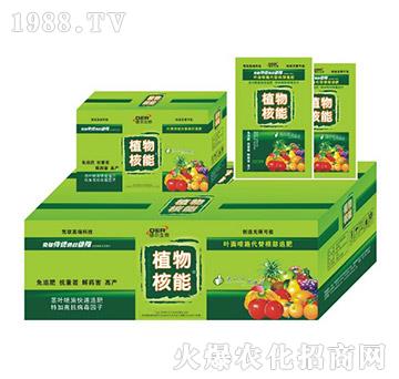 ֲ����ܴ��b-��?t��ng)����? width=