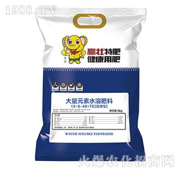 ����ʹ���Ԫ��ˮ�ܷ���13-8-40+TE-�A��-��ɭ�r(n��ng)��