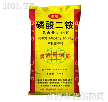 64%������@-Ħ���