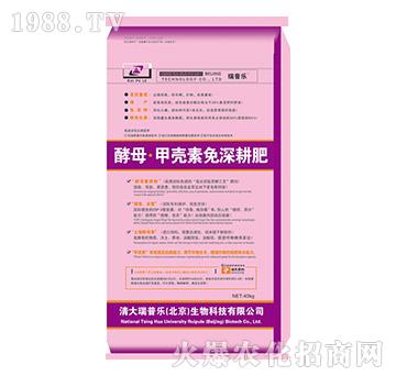 ��ĸ���ך����������-��ɭ����