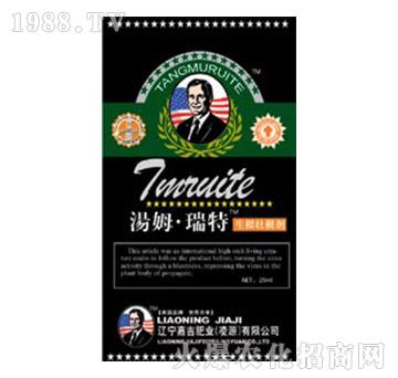 �����Ѹ���-��ķ������-�μ�