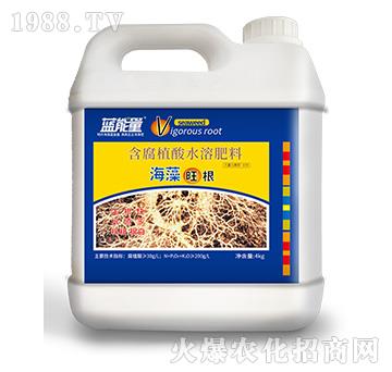 ����ֲ��ˮ�ܷ���-����