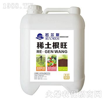 ϡ������-����˹