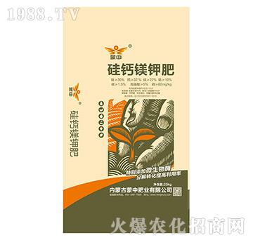 ���}�V⛷�-���зʘI(y��)