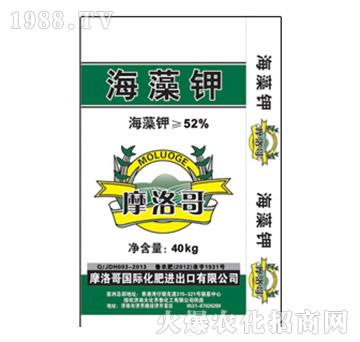 40kg�����-Ħ���