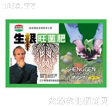 ����������-�μ�