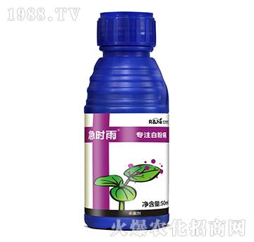 �׷۲����Ú�����-���r��-�к�����