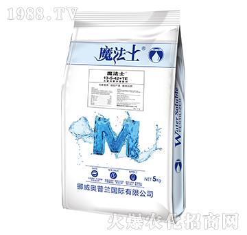 ����Ԫ��ˮ�ܷ���13-5-42+TE-ħ��ʿ-����