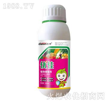 ֲ���ޏ�(f��)��-��(y��u)��-������