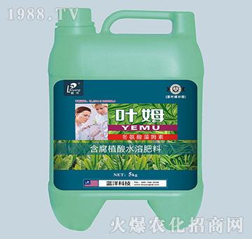 ���~��(zhu��n)�䶬������ķ����-���~���a(b��)��-�~ķ