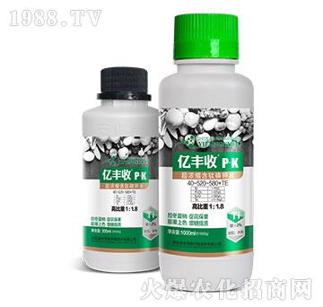 ����s������Һ10-520-582+TE-�|�S��-����̩