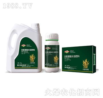小麥專用含氨基酸水溶肥料-霸爾綠博