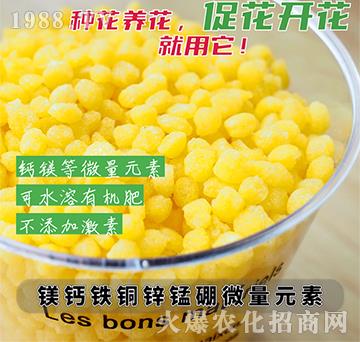 �V�}�F�~�\�i��΢��Ԫ��-��������