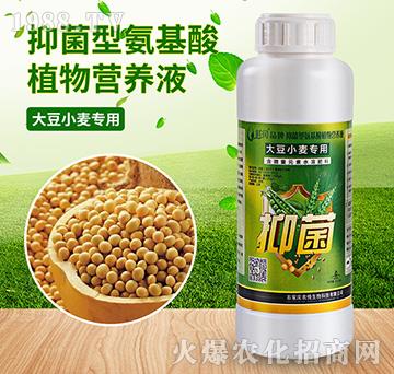 ��С������-�־��Ͱ�