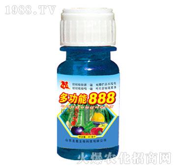 �๦��888-��������