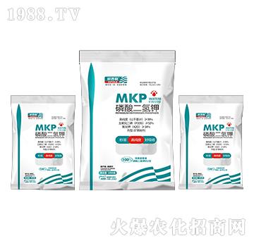 ��������-�W����-�A�S����