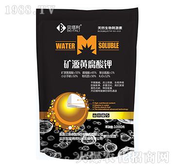 �VԴ�S�����-ؐ����