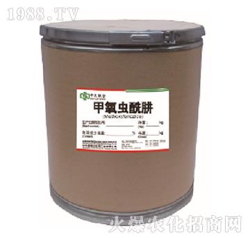 �����x����ԭˎ-���r(n��ng)(li��n)��