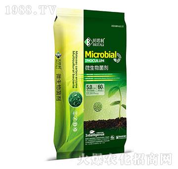 ΢�������-ؐ����