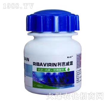 ��������-��С��-��M(m��n)�@����