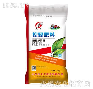 ��ጓ������28-6-6-���S-������