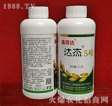 �_��5̖-�����_-���_�r(n��ng)ˎ