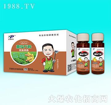 ������(y��u)�x-ϲ�R�f��-������