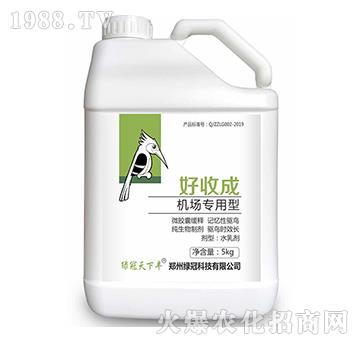 �C��������-���ճ�-�G��