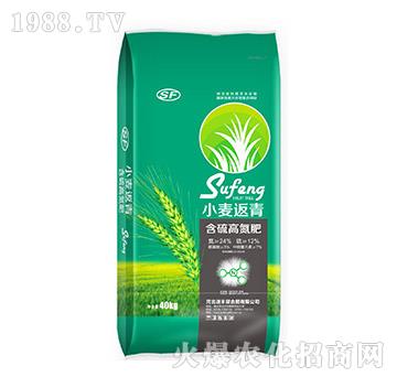 С�����ຬ��ߵ��ʣ��G����-���S