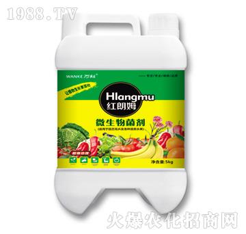 ΢�������-�t��ķ-�f(w��n)��