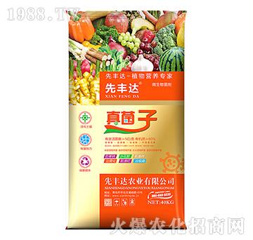 ֲ��I(y��ng)�B(y��ng)��(zhu��n)��-�����-���S�_(d��)