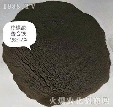 �����������F-����