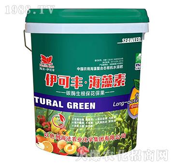 ̼ø������������-�����S��������-����