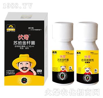 �����ײͽM��-����-��