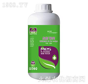 �ЙC�j(lu��)���F-���ܱ̬�-����ɭ