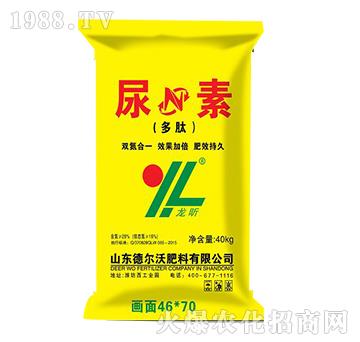 ��������-���-� ���