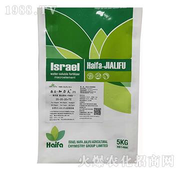 ƽ���͏ͺϷ���20-20-20+TE-����������2̖-����������